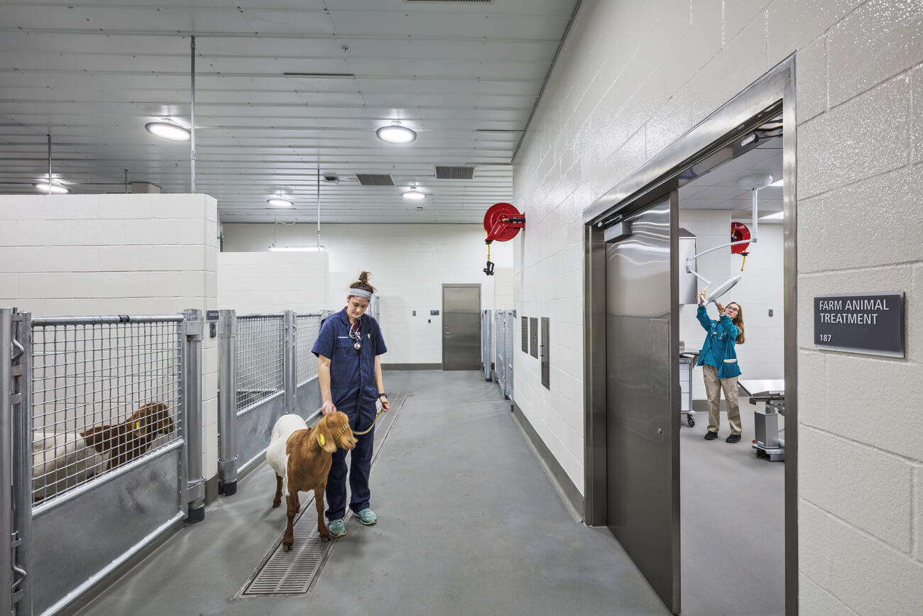 Teaching vet hospitals near me cheap