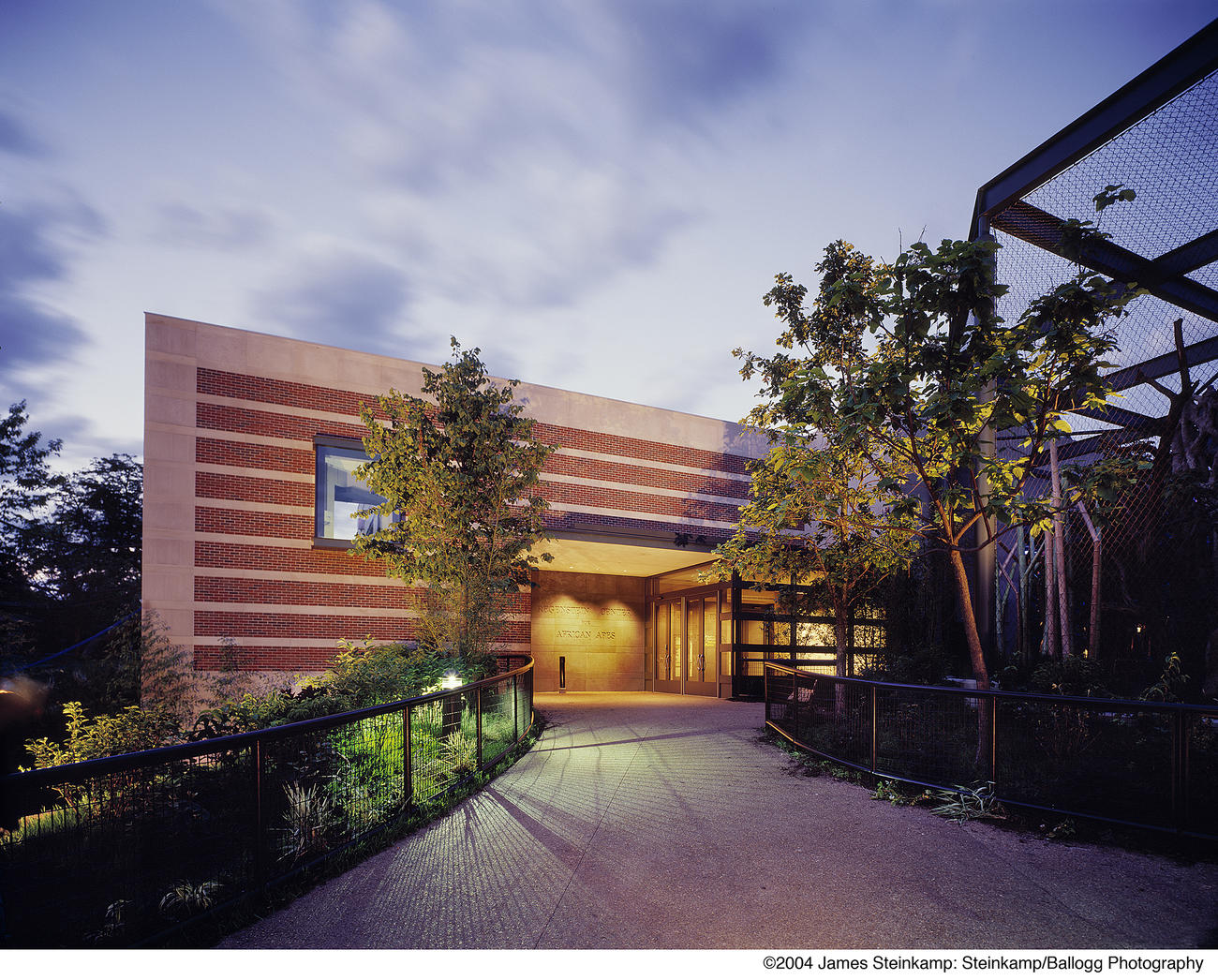 New Regenstein Center African Ape Exhibit at Lincoln Park Zoo