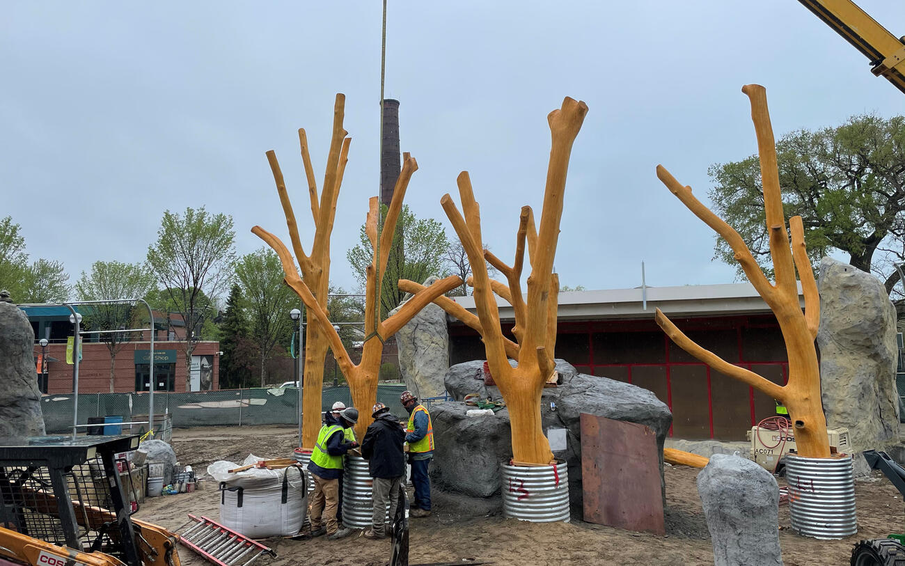 New Pepper Family Wildlife Center houses lions at Lincoln Park Zoo