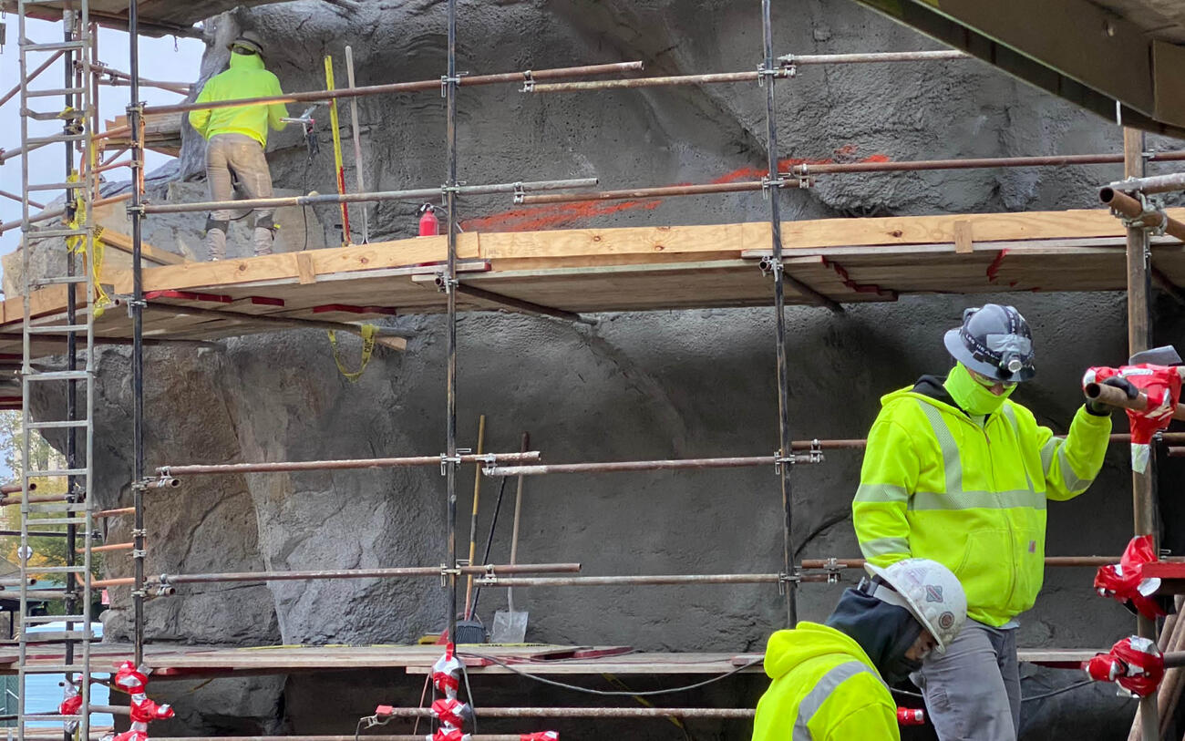 New Pepper Family Wildlife Center houses lions at Lincoln Park Zoo