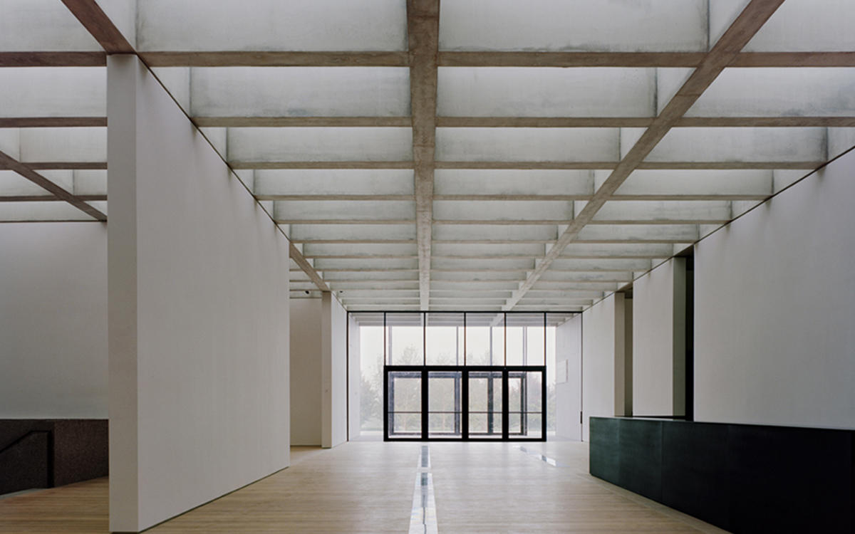 Saint Louis Art Museum Reviews