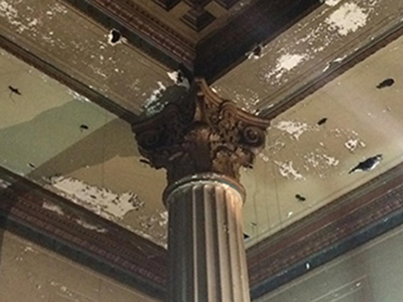 Burlington-Room-Column