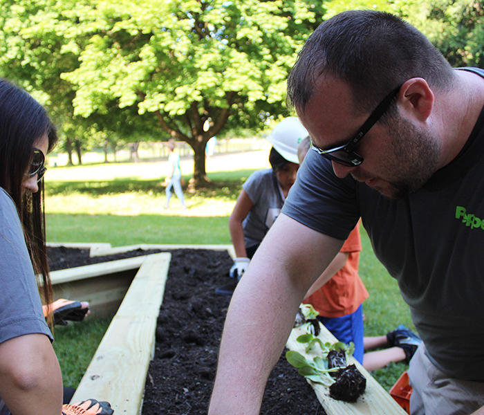 Pepper-volunteering