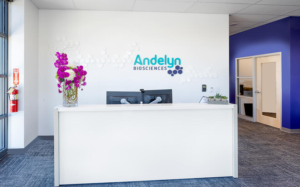 Andelyn Biosciences Office Buildout 