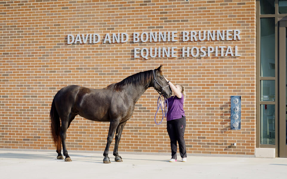 Purdue University Veterinary Medicine Teaching Hospitals