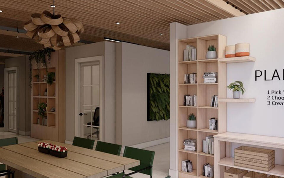 Mindhaven Interior Buildout