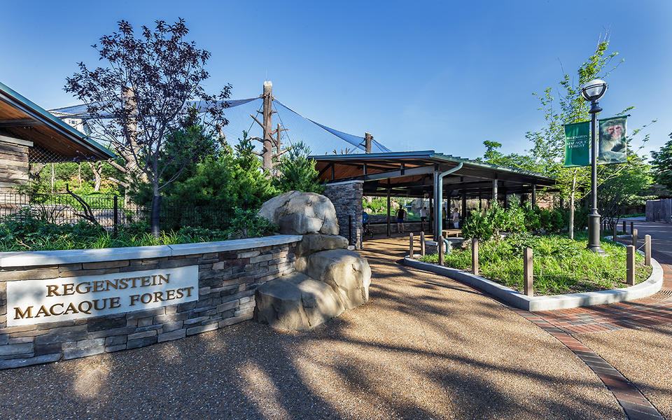 LPZ-Macaque-outdoor-space