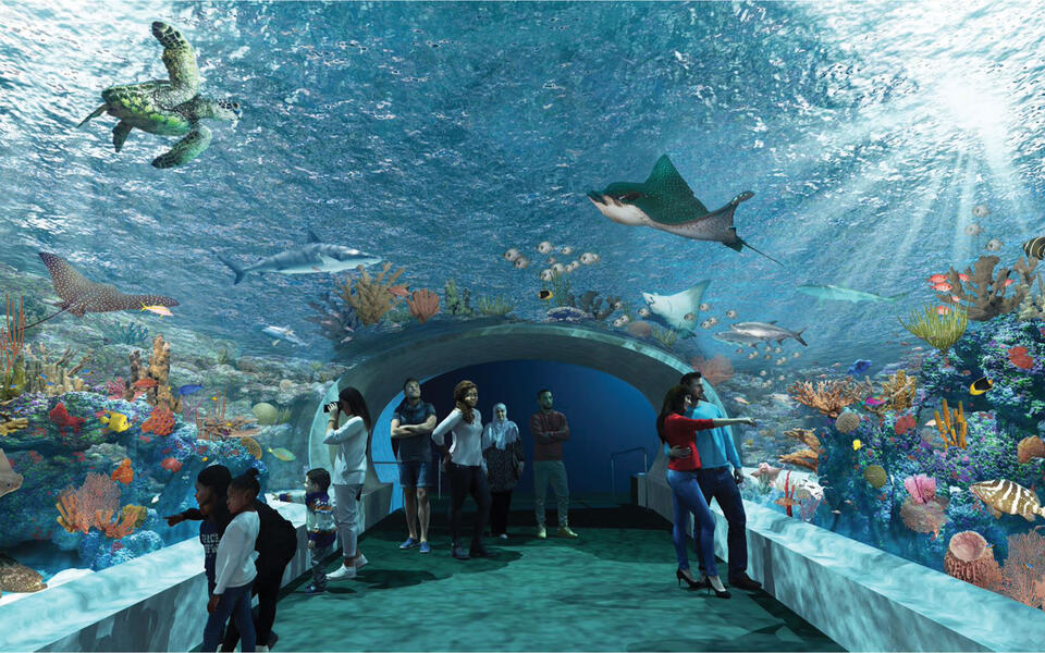 Shedd Aquarium renovation